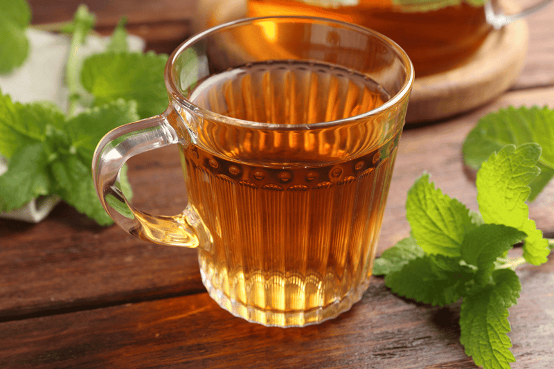 La mélisse : bienfaits, usages (tisane, extrait, crème) et précautions