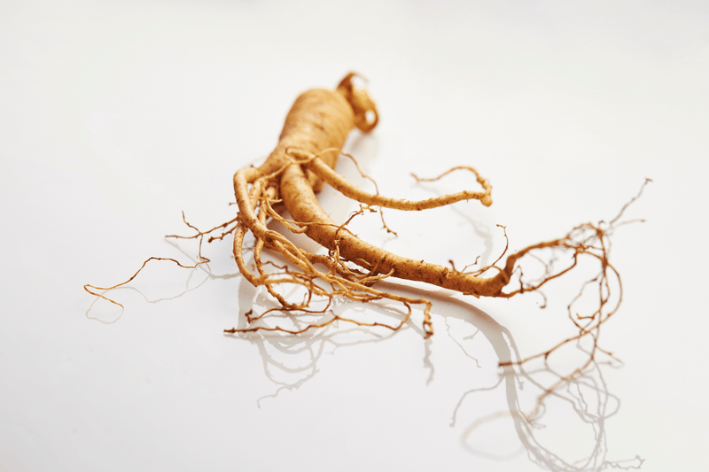 Efecto inmediato del ginseng: ¿qué puedes sentir realmente (y durante cuánto tiempo)?