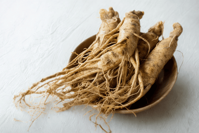Ginseng gingembre : bienfaits, synergie, immunité, dosages et précautions