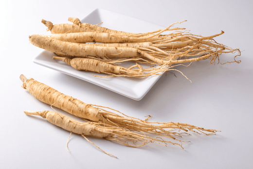  Panax ginseng