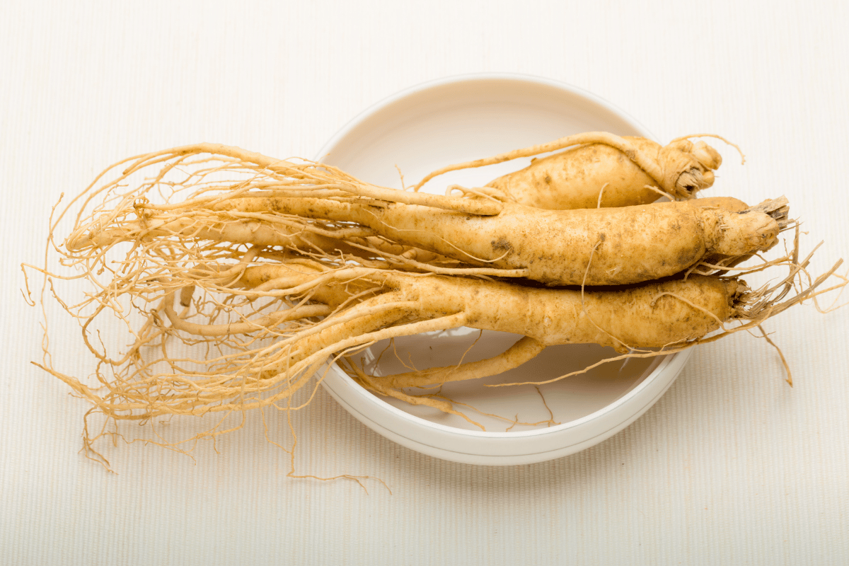 Beneficios del ginseng 