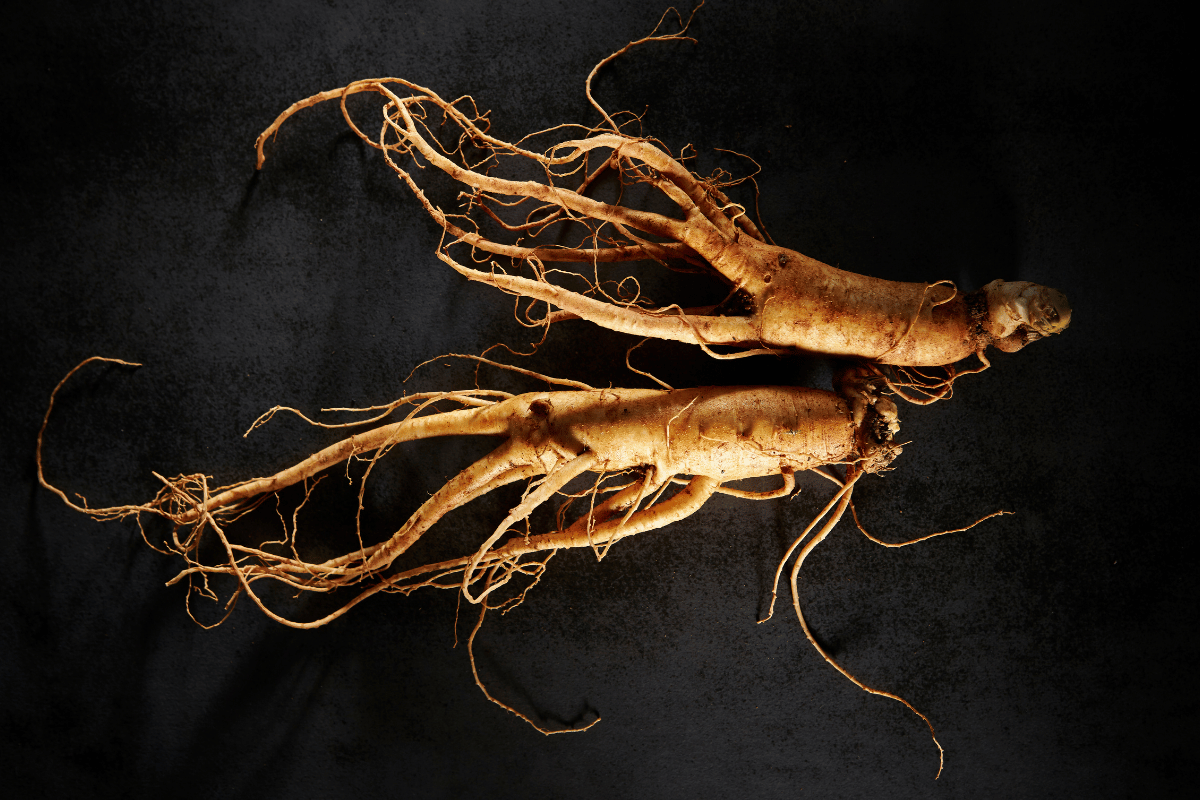 Red Ginseng Benefits