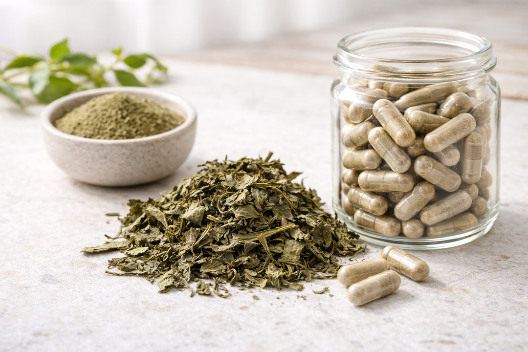 Gymnema sylvestre for weight loss