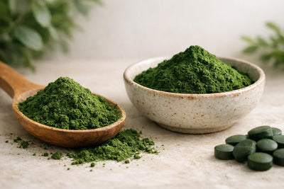Poudre de chlorelle : Guide complet pour détox, immunité et énergie