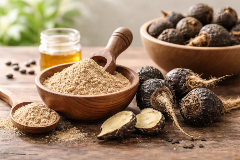 Propiedades de la maca negra: beneficios, libido, energía, fertilidad y ciencia