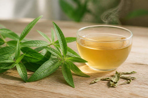 Bienfait verveine : tout ce que dit la science