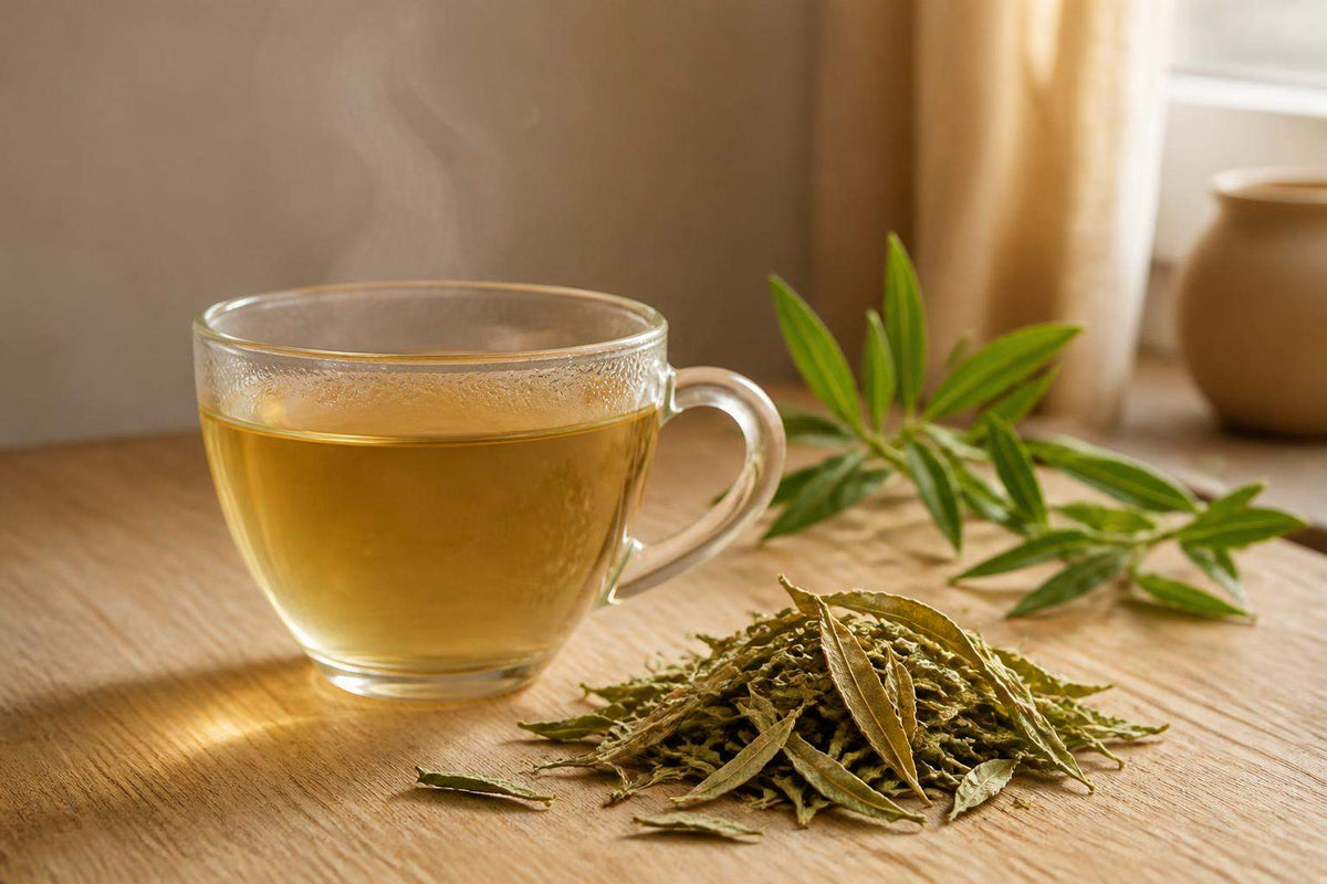 Bienfaits de la verveine en tisane