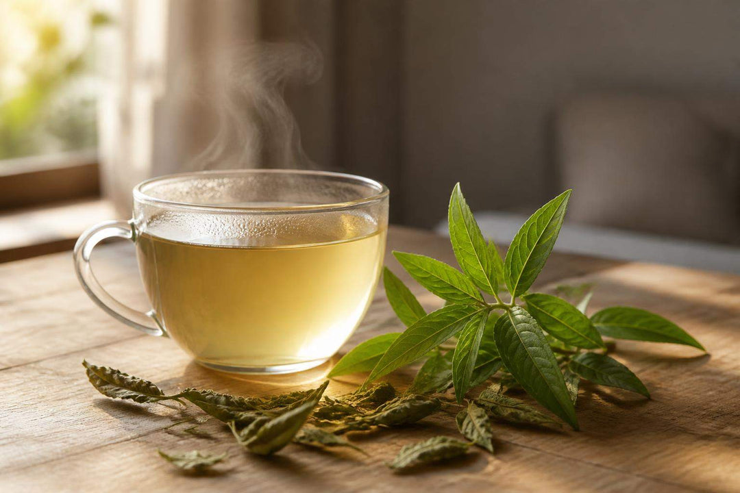 Bienfaits infusion verveine