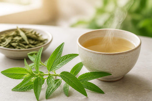 Effet verveine : bienfaits, usages et ce que dit la science