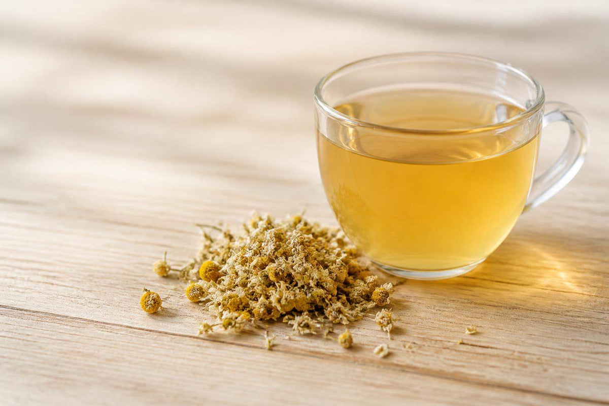 Fleur de camomille infusion