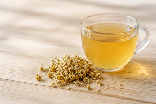 Fleur de camomille infusion : bienfaits, préparation et précautions