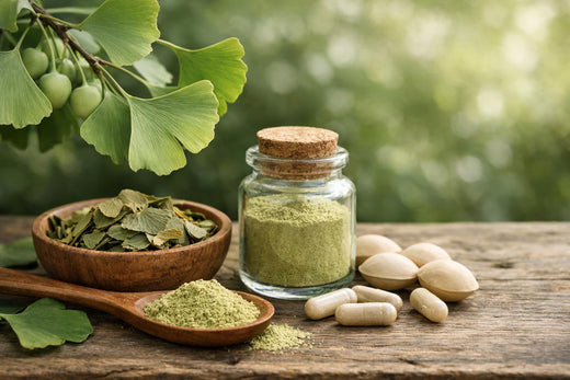 le ginkgo biloba : bienfaits, posologie et précautions – GreenWellPath