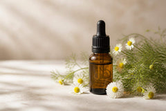 Huile essentielle camomille romaine : bienfaits et usages