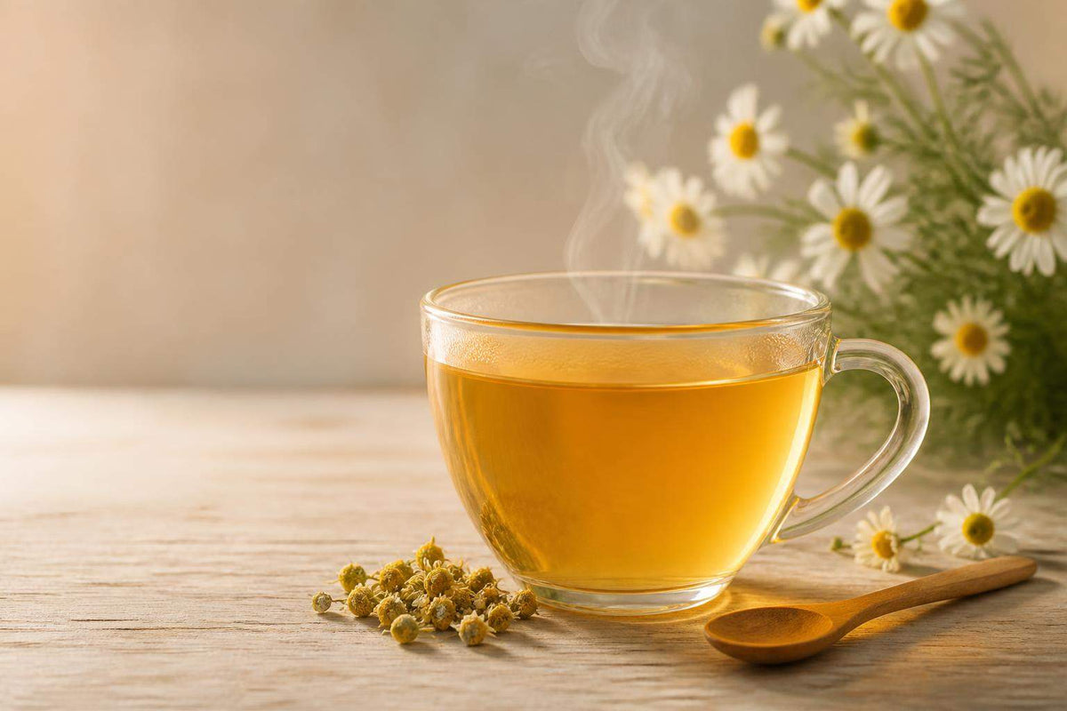 Infusion camomille bienfaits