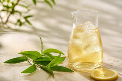 Infusion froide verveine citronnelle : la recette parfaite