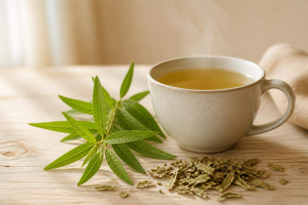 La verveine, c'est bon pourquoi ? Bienfaits et usages