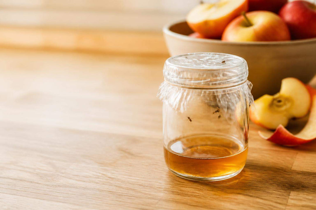 Trampa para moscas hecha con vinagre de sidra de manzana