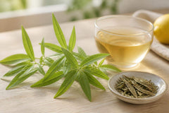 Que faire avec de la verveine citronnelle : usages et idées