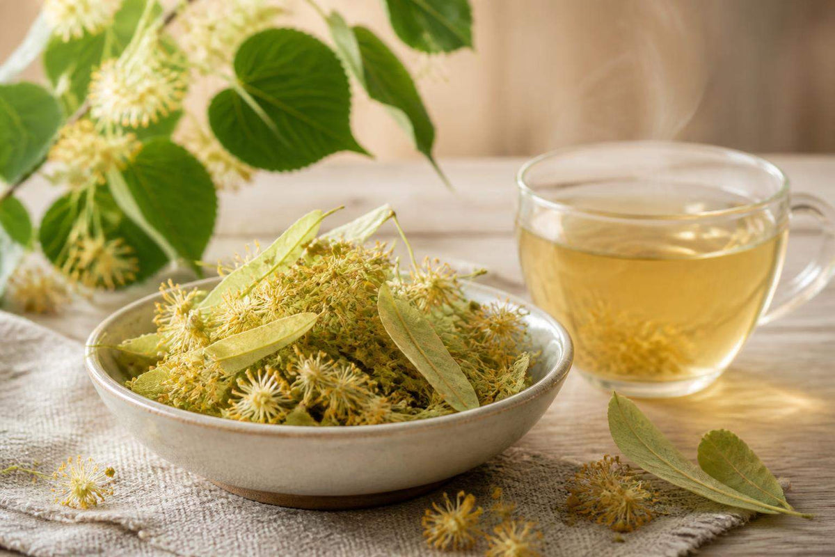 Quel tilleul pour tisane