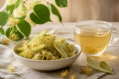 Quel tilleul pour tisane : guide des variétés à choisir