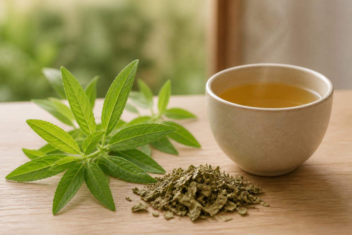 Quelle verveine pour infusion