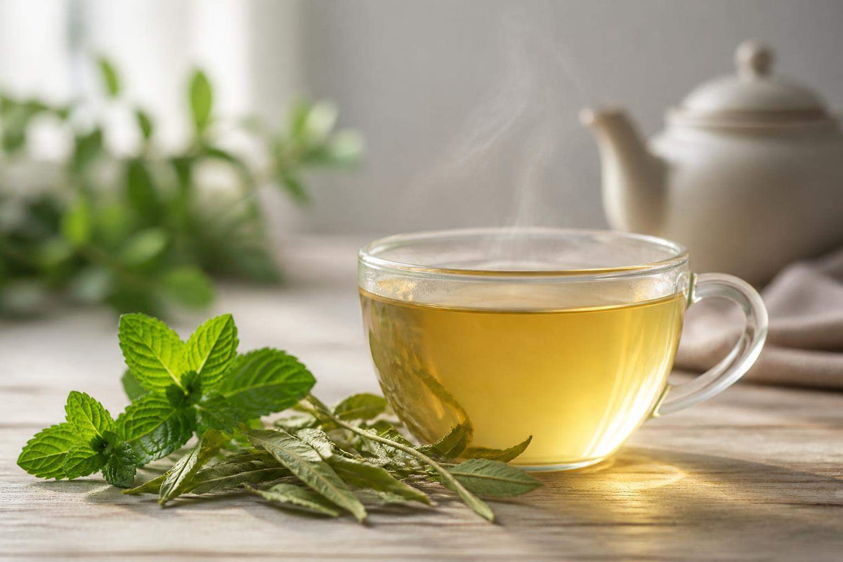 Thé verveine menthe bienfaits