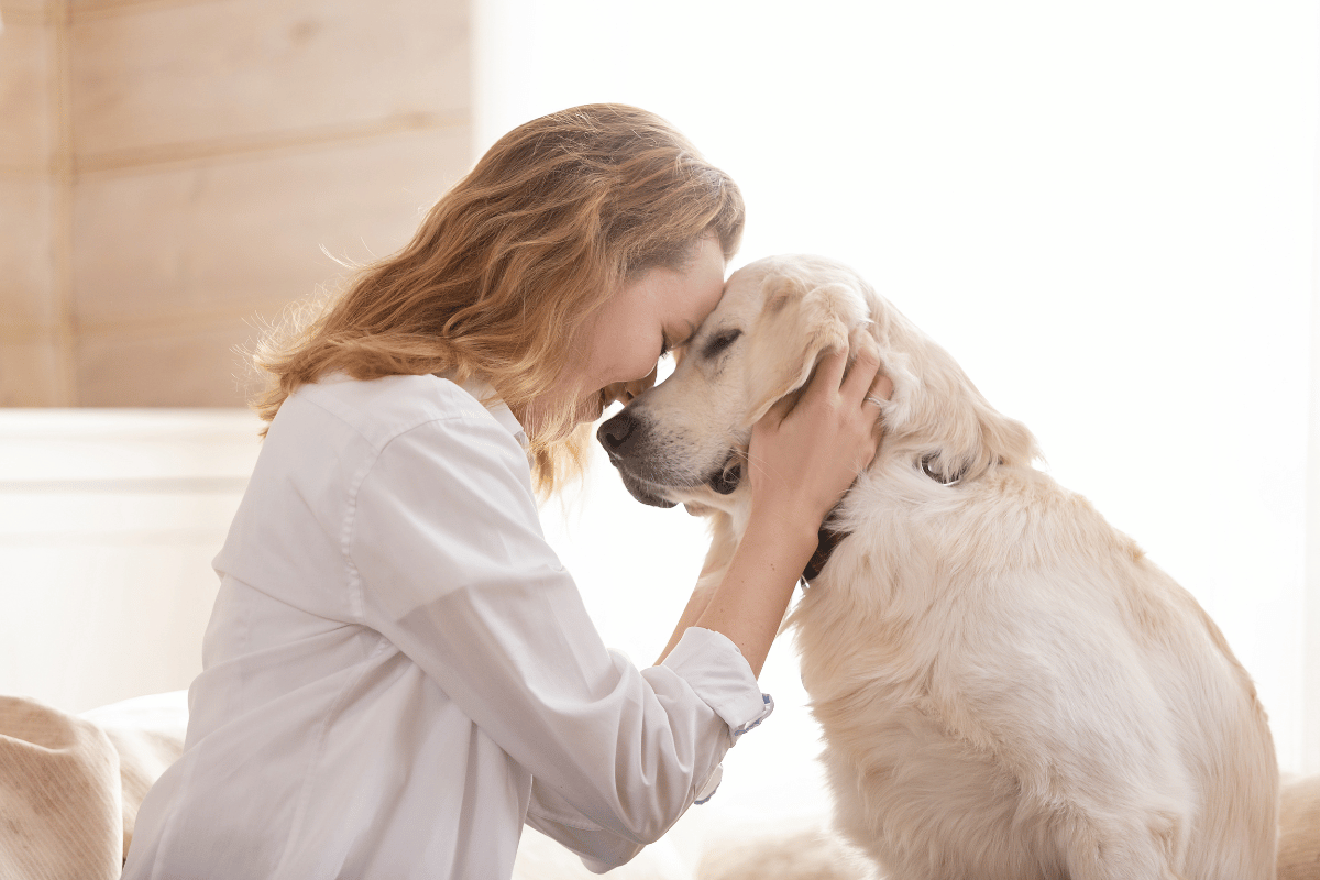 Dog health: understanding, preventing and responding to the most common problems